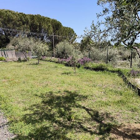Villa Egle Belpasso, Villa Vacanza Con Piscina Εξωτερικό φωτογραφία