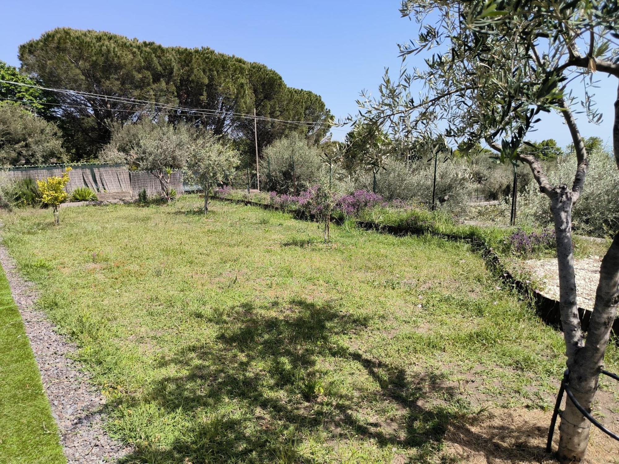 Villa Egle Belpasso, Villa Vacanza Con Piscina Εξωτερικό φωτογραφία
